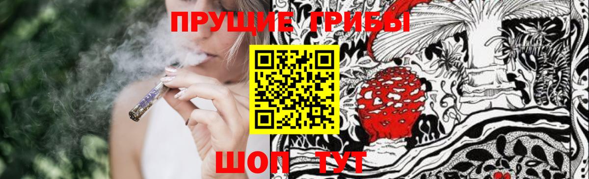 Усолье-Сибирское  Псилоцибиновые грибы прущие грибы  Вход с VPN 